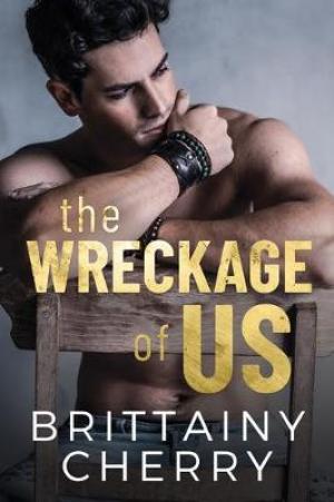 The Wreckage of Us PDF Download