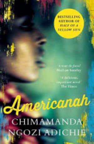 (PDF DOWNLOAD) Americanah by Chimamanda Ngozi Adichie