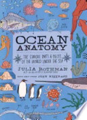 (PDF DOWNLOAD) Ocean Anatomy by Julia Rothman