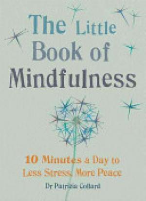 (Download PDF) Little Book of Mindfulness