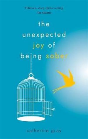 The Unexpected Joy of Being Sober PDF Download