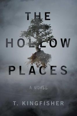 the hollow places a novel