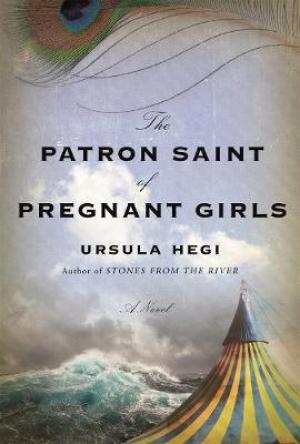 The Patron Saint of Pregnant Girls PDF Download