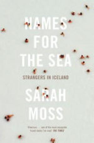 (PDF DOWNLOAD) Names for the Sea : Strangers in Iceland