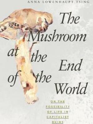 (PDF DOWNLOAD) The Mushroom at the End of the World