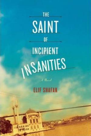 The Saint of Incipient Insanities PDF Download