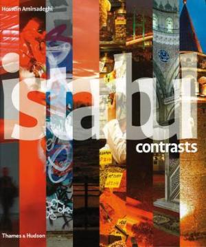 Istanbul Contrasts by Elif Shafak PDF Download