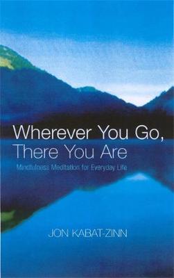 Wherever You Go, There You are PDF Download