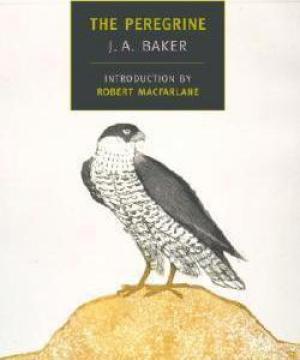 The Peregrine by J. A. Baker PDF Download