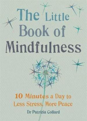 Little Book of Mindfulness by Patrizia Collard PDF Download