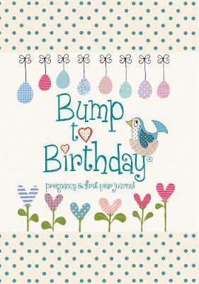 [PDF Download] Bump to Birthday, Pregnancy & First Year Journal