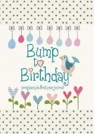 [PDF Download] Bump to Birthday, Pregnancy & First Year Journal