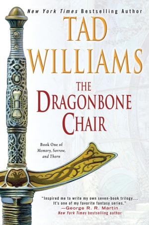 The Dragonbone Chair (Memory, Sorrow, and Thorn #1) PDF Download