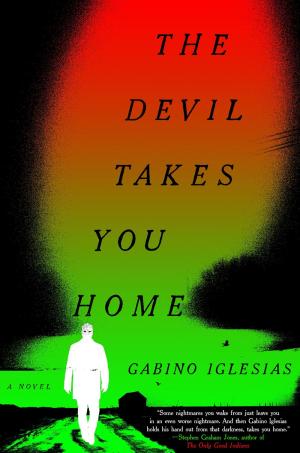 The Devil Takes You Home PDF Download