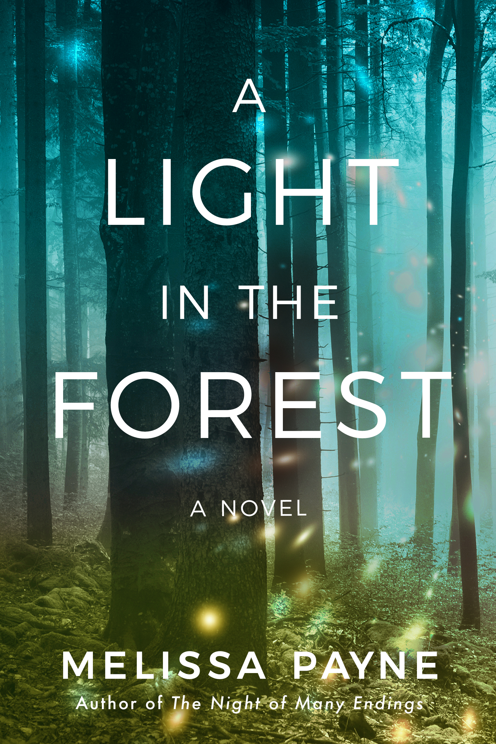 A Light in the Forest by Melissa Payne PDF Download