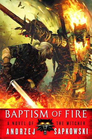Baptism of Fire (The Witcher #3) PDF Download