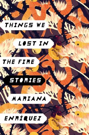 Things We Lost in the Fire PDF Download