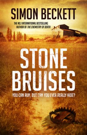Stone Bruises by Simon Beckett PDF Download