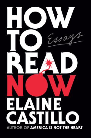 How to Read Now by Elaine Castillo PDF Download