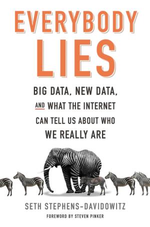 Everybody Lies by Seth Stephens-Davidowitz PDF Download