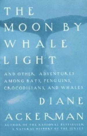 The Moon by Whale Light