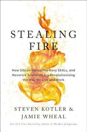 Stealing Fire by Steven Kotler PDF Download