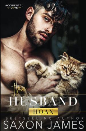 The Husband Hoax (Accidental Love #1) PDF Download