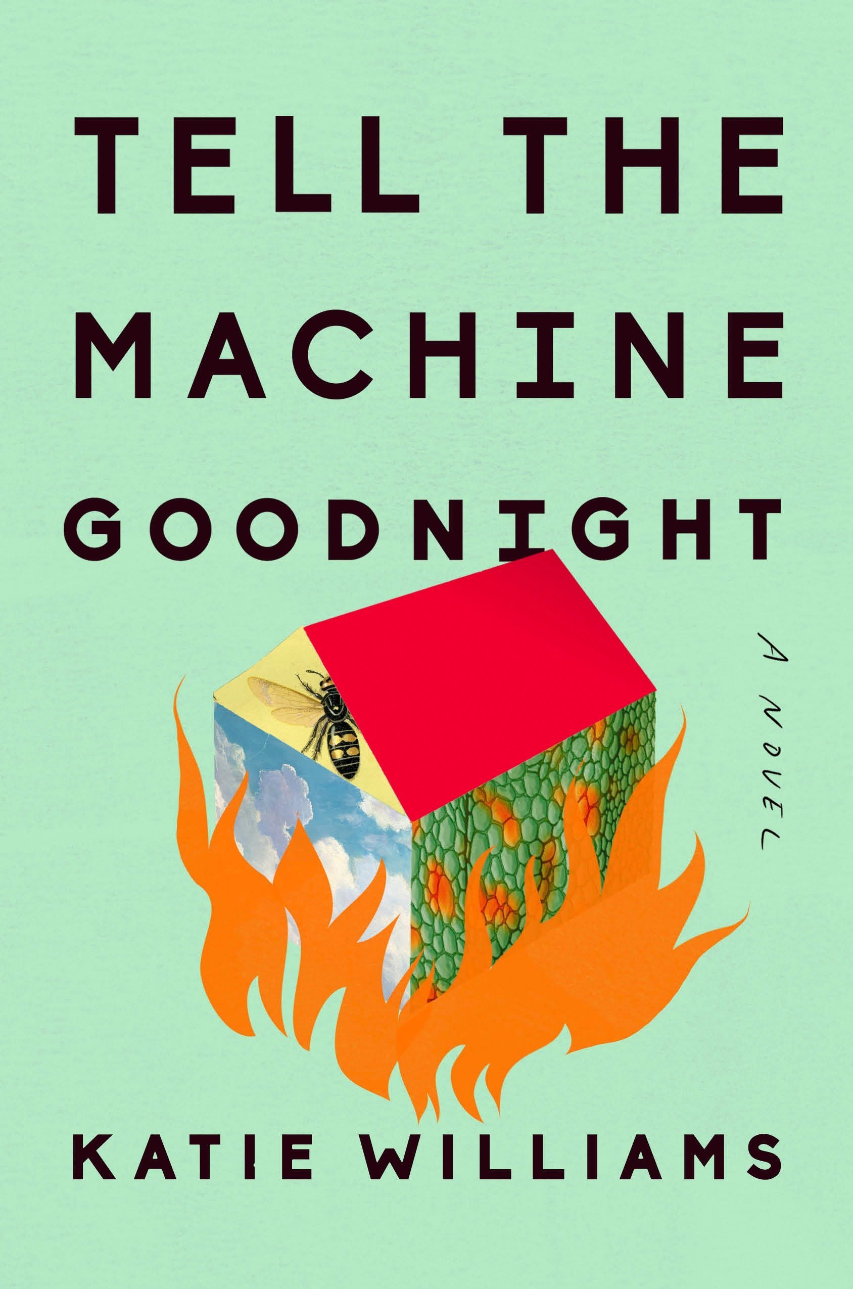 Tell the Machine Goodnight PDF Download