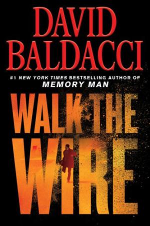 David Baldacci Spring 2020