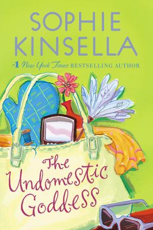 The Undomestic Goddess PDF Download