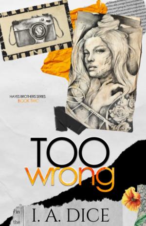 Too Wrong (Hayes Brothers #2) PDF Download