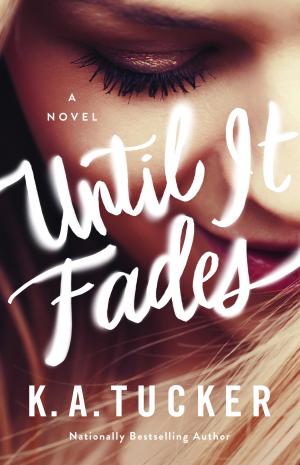 Until It Fades PDF Download