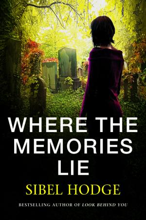 Where the Memories Lie PDF Download