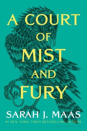 A Court of Mist and Fury PDF Download