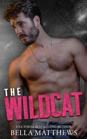 The Wildcat (Playing to Win #2) PDF Download