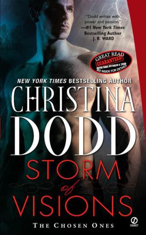 Storm of Visions PDF Download