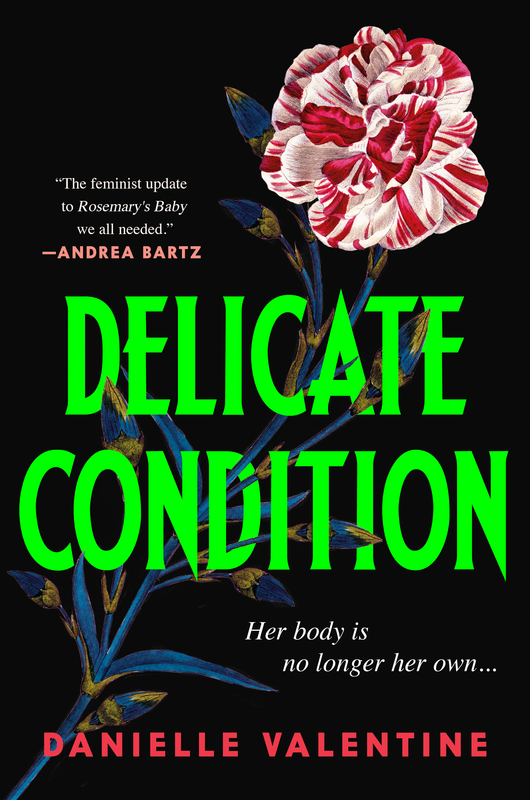 Delicate Condition PDF Download