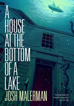 A House at the Bottom of a Lake PDF Download