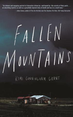 Fallen Mountains