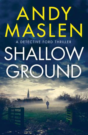 Shallow Ground PDF Download