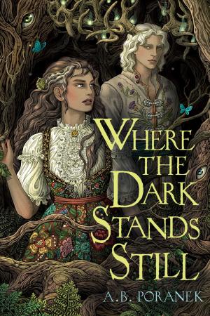 Where the Dark Stands Still PDF Download