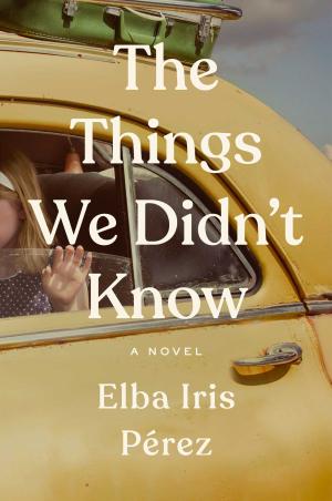 The Things We Didn't Know PDF Download