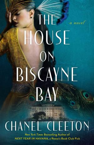 The House on Biscayne Bay PDF Download