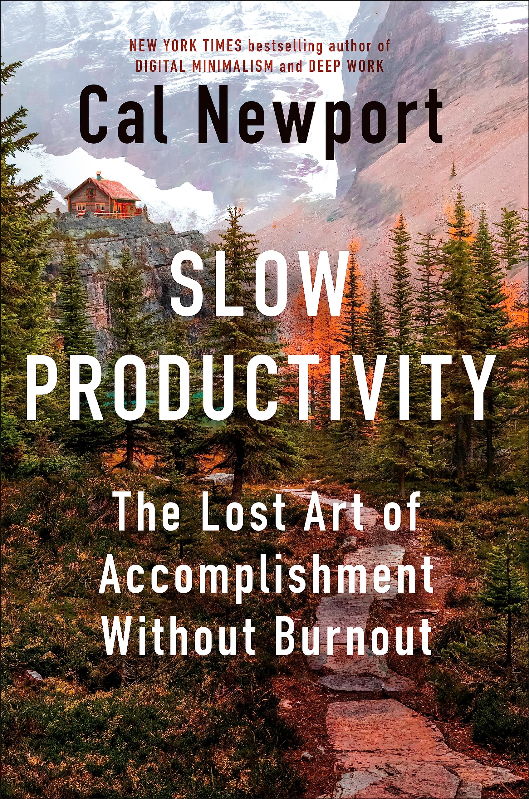 Slow Productivity PDF Download