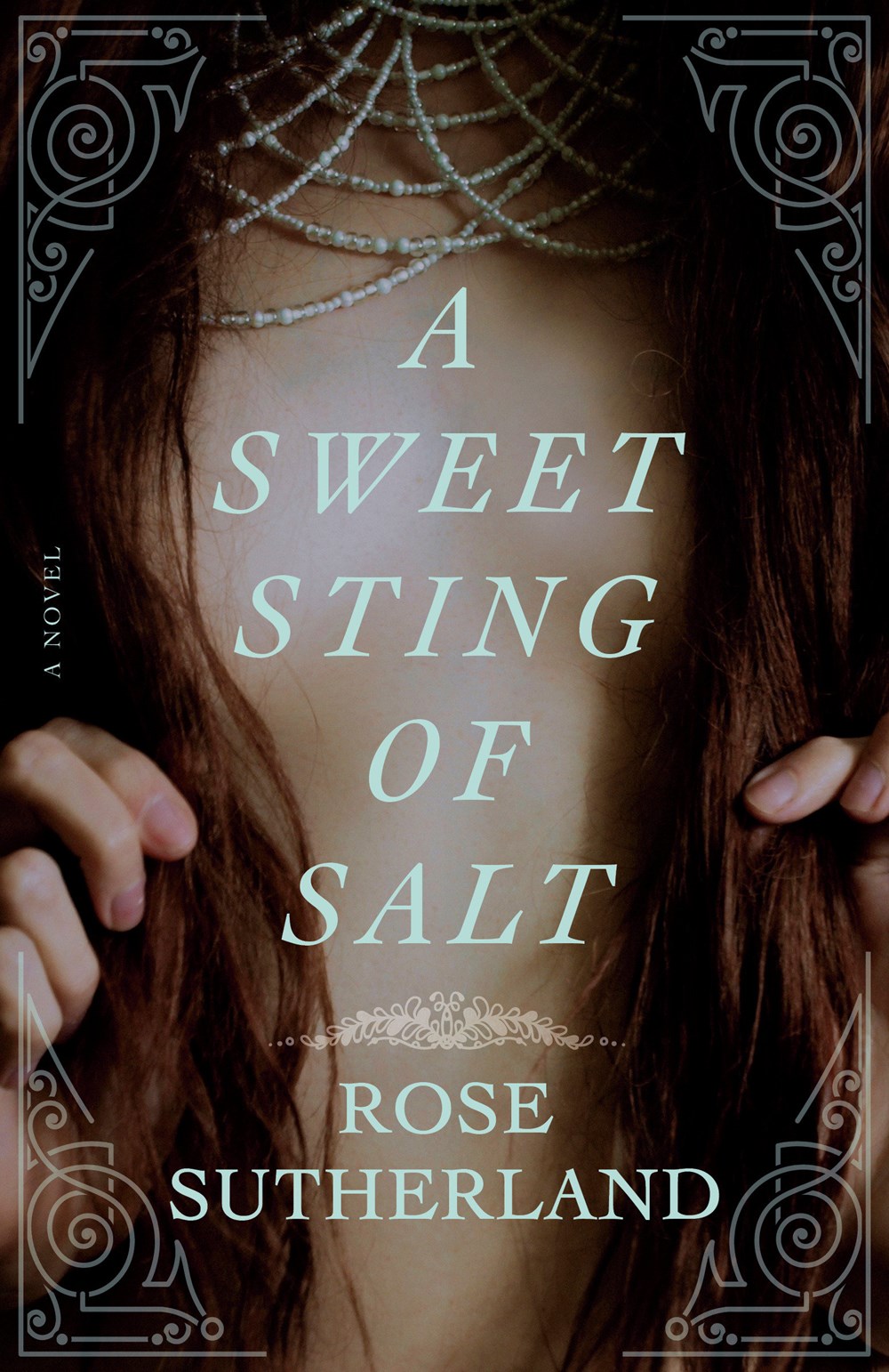 A Sweet Sting of Salt PDF Download