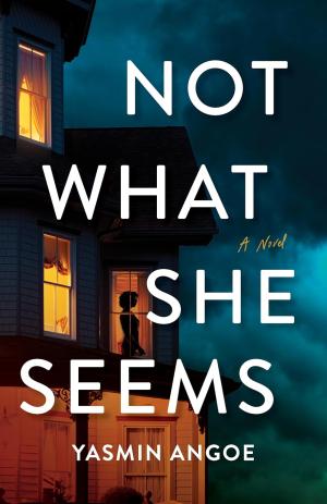 Not What She Seems PDF Download