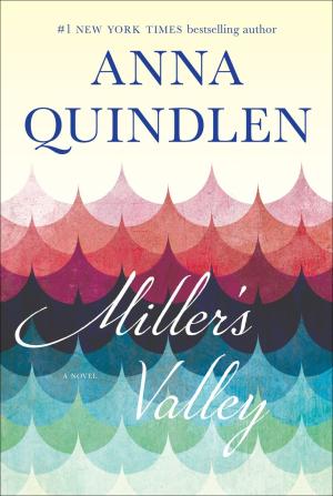 Miller's Valley PDF Download