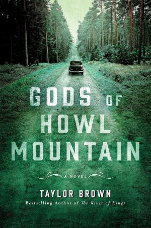 Gods of Howl Mountain PDF Download