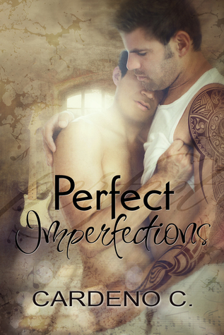 Perfect Imperfections PDF Download