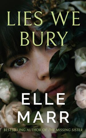 Lies We Bury PDF Download